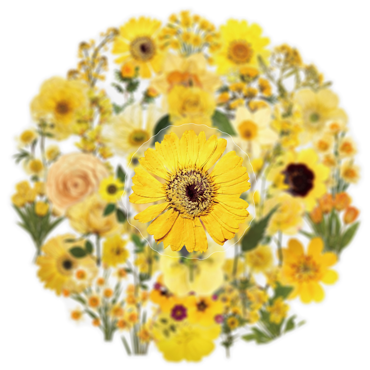 50Pcs Sunflower Transparent Ye - đánh giá và giá Yellow Phone Accessories